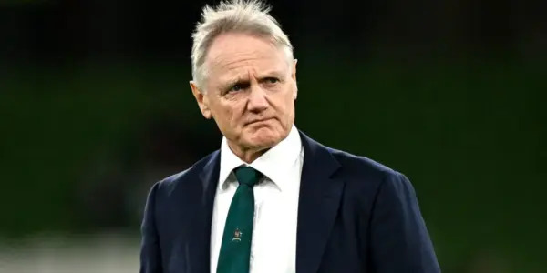 Joe Schmidt lands first coaching role following Wallabies exit as Irish return confirmed - Planet Rugby