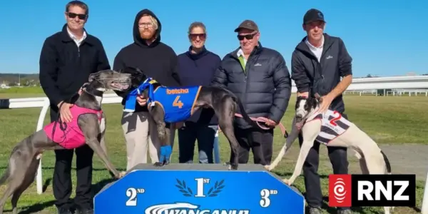 Why farewelling our greyhound friends just doesn’t seem right – Michael Guerin - NZ Herald
