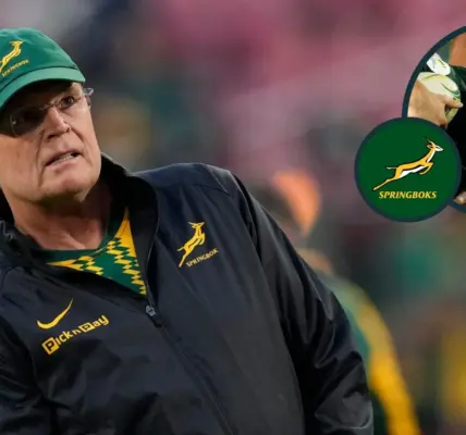 Big guns return as World Cup winners named in Springboks squad to face ABs - NZ Herald