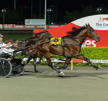 Grimson puts faith in teenager for $1 million Inter Dominion showdown