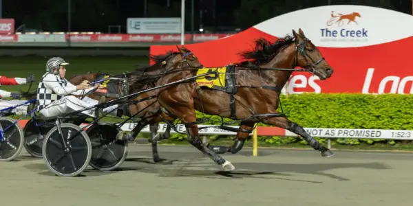 Grimson puts faith in teenager for $1 million Inter Dominion showdown